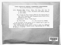 Pezicula alni image